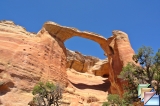 rattlesnake arches